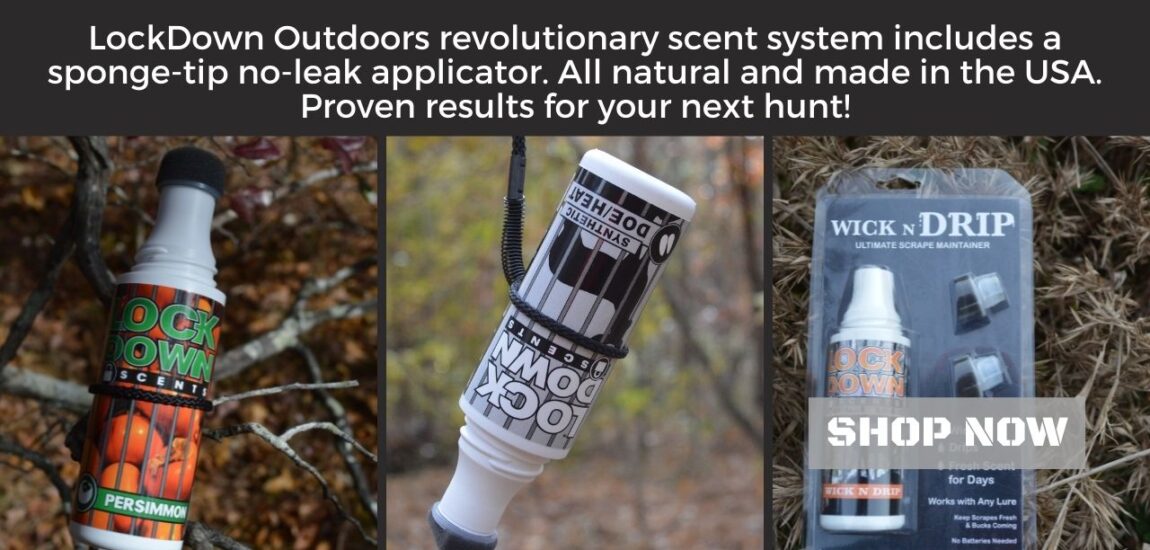 Deer hunting attractant scents